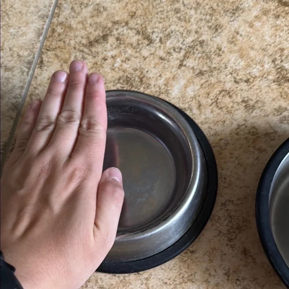 Stainless Steel Pet Bowls